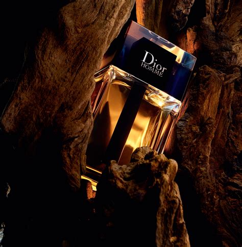 mr dior cologne|dior cologne 2020.